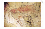 Bison from the Caves at Altamira, c.15000 BC by Prehistoric Prehistoric