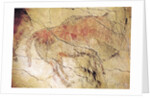 Bison from the Caves at Altamira, c.15000 BC by Prehistoric Prehistoric