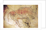 Bison from the Caves at Altamira, c.15000 BC by Prehistoric Prehistoric