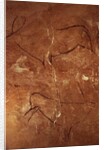 Two Stags by Prehistoric Prehistoric