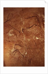 Two Stags by Prehistoric Prehistoric