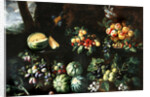 Fruits by Giovanni Brugnoli or Bagnoli
