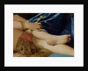 Detail of The Grand Odalisque, 1814 by Jean Auguste Dominique Ingres