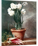 Narcissus and Radishes by Henri Roland de la Porte