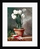 Narcissus and Radishes by Henri Roland de la Porte