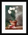 Narcissus and Radishes by Henri Roland de la Porte