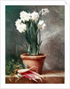 Narcissus and Radishes by Henri Roland de la Porte
