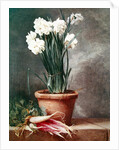 Narcissus and Radishes by Henri Roland de la Porte