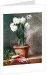 Narcissus and Radishes by Henri Roland de la Porte