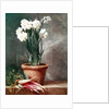 Narcissus and Radishes by Henri Roland de la Porte