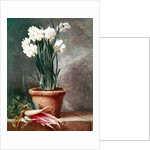 Narcissus and Radishes by Henri Roland de la Porte