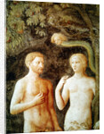 Detail of the Temptation of Adam and Eve, c.1423-25 by Tommaso Masolino da Panicale