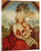 Virgin and Child by Quentin Massys or Metsys