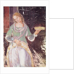 Servant holding a basket by L. & Sodoma G. Signorelli