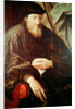 Portrait of Andrea Doria by Jan Massys or Metsys