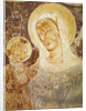 Virgin and Child by Italian School