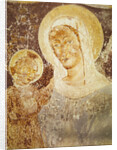 Virgin and Child by Italian School