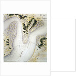 Map of south West-Point, Virginia by F. Dubourg