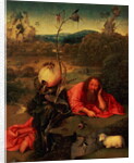 St. John the Baptist in Meditation by Hieronymus Bosch