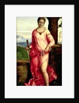 Judith by Giorgione
