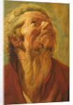 Study of a Head, or Head of an Apostle, c.1620 by Jacob Jordaens
