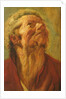 Study of a Head, or Head of an Apostle, c.1620 by Jacob Jordaens