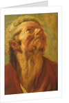 Study of a Head, or Head of an Apostle, c.1620 by Jacob Jordaens