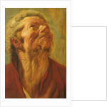 Study of a Head, or Head of an Apostle, c.1620 by Jacob Jordaens