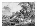 Three Cows by Nicolaes Pietersz. Berchem