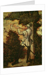Crossbowman taking aim by Lucas the Elder Cranach