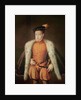 Don Carlos, Prince of Asturias and Portugal, c.1558 by Alonso Sanchez Coello