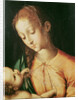 Virgin and Child by Luis de Morales