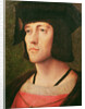 Portrait of a Knight of the Golden Fleece by Flemish School