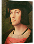 Portrait of a Knight of the Golden Fleece by Flemish School