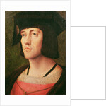 Portrait of a Knight of the Golden Fleece by Flemish School