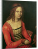 Saint Catherine by Lucas the Elder Cranach