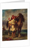 Arab saddling his horse, 1855 by Ferdinand Victor Eugene Delacroix