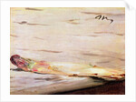 Asparagus, 1880 by Edouard Manet