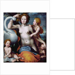 Leda and the Swan by Vincent Sellaer