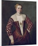 Portrait of a Woman by (1528-88) Veronese