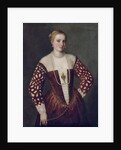 Portrait of a Woman by (1528-88) Veronese