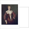 Portrait of a Woman by (1528-88) Veronese
