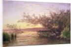 Sunset, Camargue by Felix Ziem