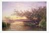 Sunset, Camargue by Felix Ziem