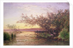 Sunset, Camargue by Felix Ziem