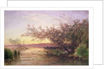 Sunset, Camargue by Felix Ziem