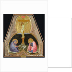 Crucifixion with the Virgin and St. John the Baptist by Barnaba da Modena