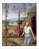 St. Jerome in the Desert, c.1499-1502 by Pietro Perugino