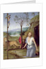 St. Jerome in the Desert, c.1499-1502 by Pietro Perugino