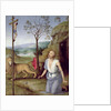 St. Jerome in the Desert, c.1499-1502 by Pietro Perugino